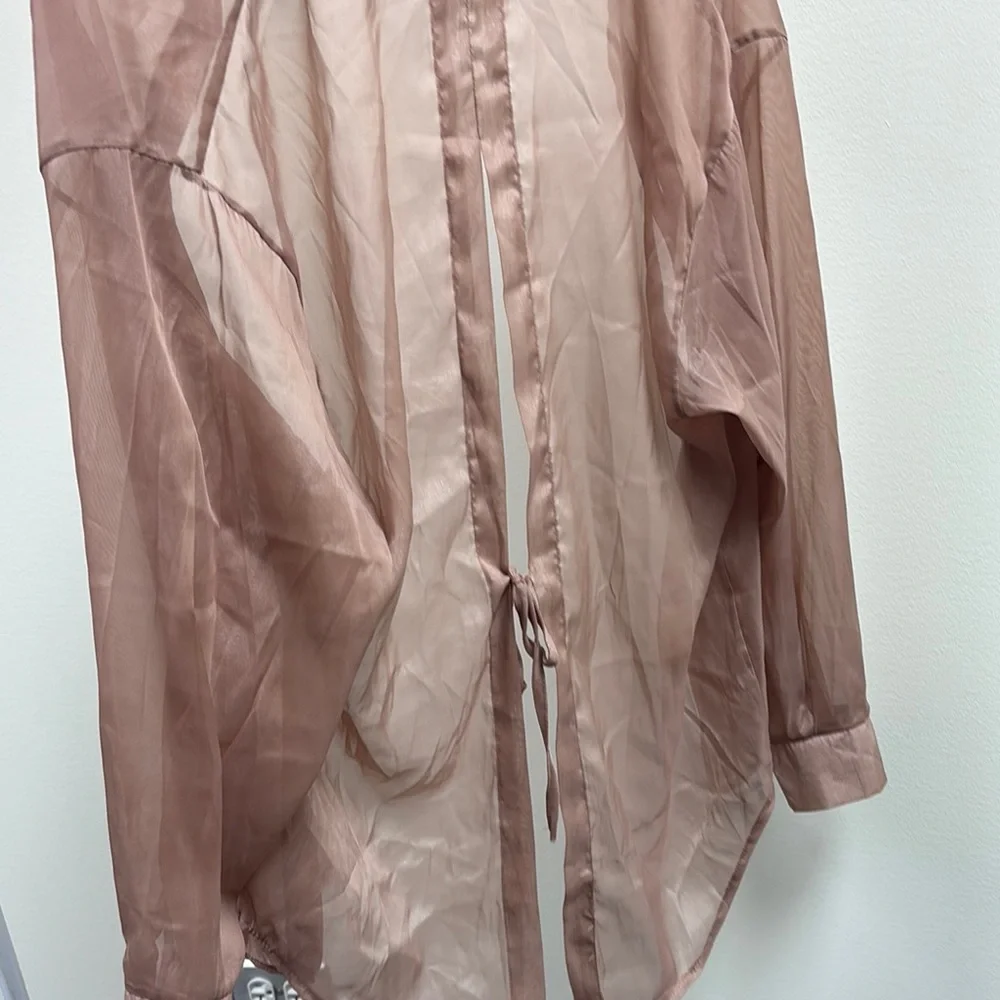 Sheer Brown Button-Up Blouse - Picture 2 of 3